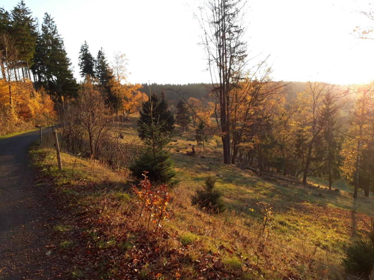 Pension Waldidyll Stutzerbach Екстер'єр фото